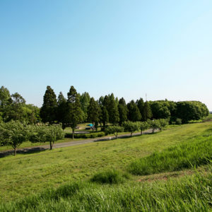 庄内緑地公園